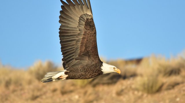The Eagle Has Un-Landed